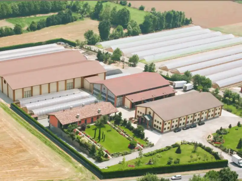 AdobeStock_1504607153 la-nostra-mission-1